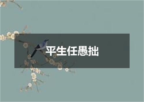 平生任愚拙