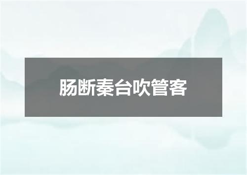 肠断秦台吹管客