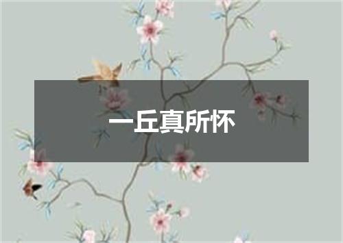 一丘真所怀