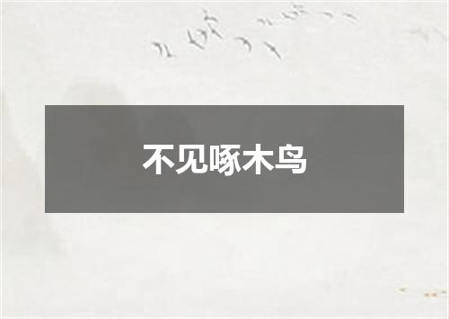 不见啄木鸟