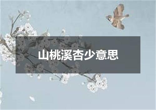 山桃溪杏少意思