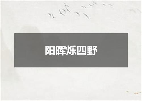 阳晖烁四野