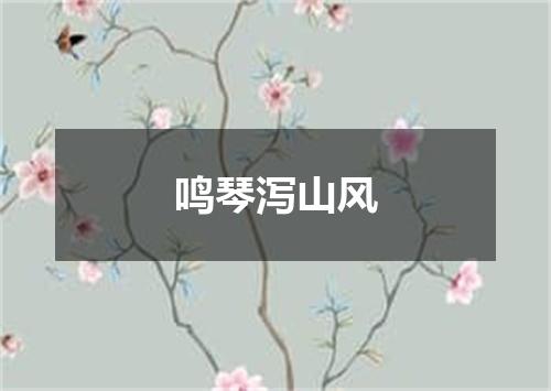 鸣琴泻山风
