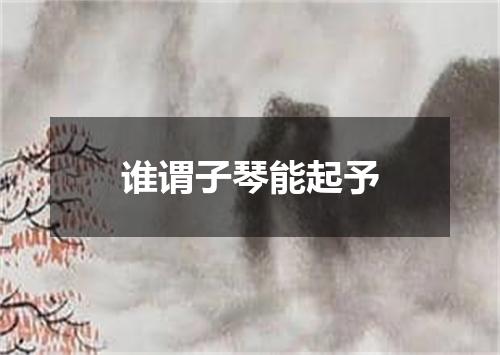 谁谓子琴能起予