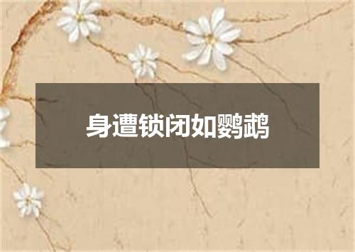身遭锁闭如鹦鹉
