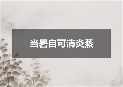当暑自可消炎蒸