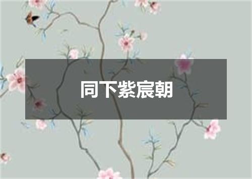 同下紫宸朝