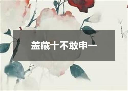 盖藏十不敢申一
