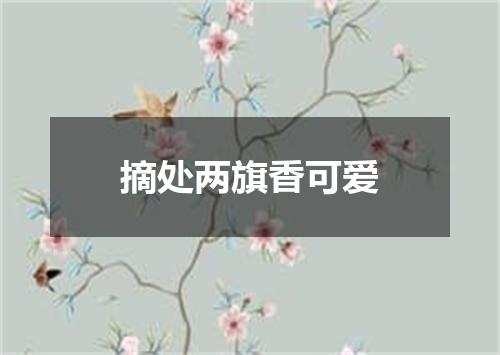摘处两旗香可爱