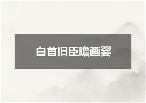 白首旧臣瞻画翣