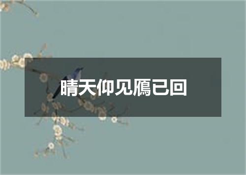 晴天仰见鴈已回