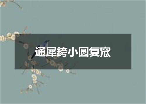 通犀銙小圆复窊