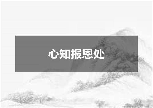 心知报恩处