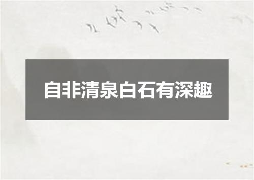 自非清泉白石有深趣