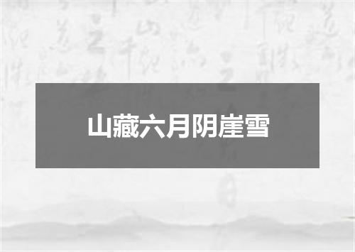 山藏六月阴崖雪