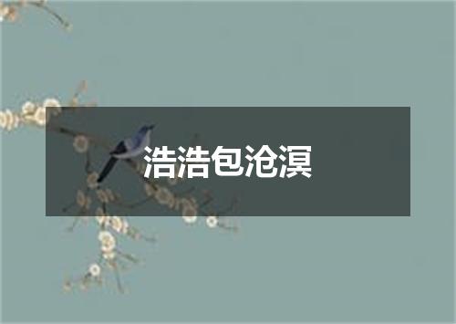 浩浩包沧溟
