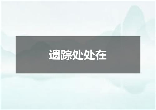 遗踪处处在
