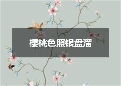 樱桃色照银盘溜