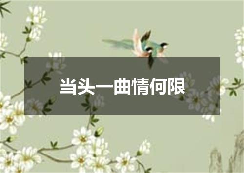 当头一曲情何限