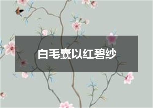 白毛囊以红碧纱