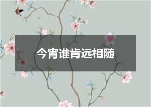 今宵谁肯远相随
