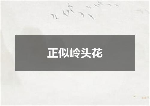 正似岭头花