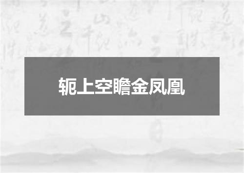 轭上空瞻金凤凰