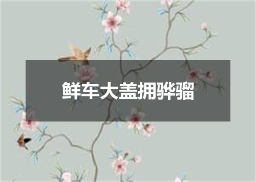 鲜车大盖拥骅骝
