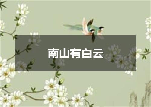 南山有白云