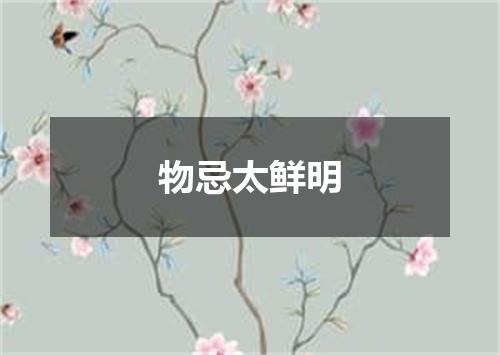 物忌太鲜明