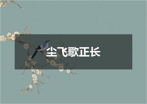 尘飞歌正长
