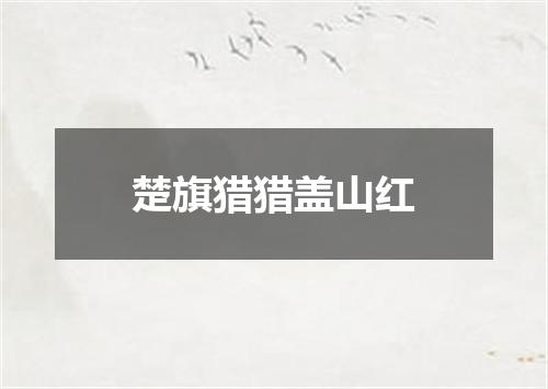 楚旗猎猎盖山红