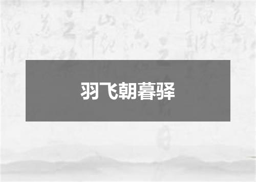 羽飞朝暮驿
