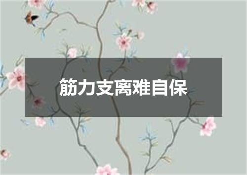 筋力支离难自保