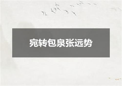 宛转包泉张远势
