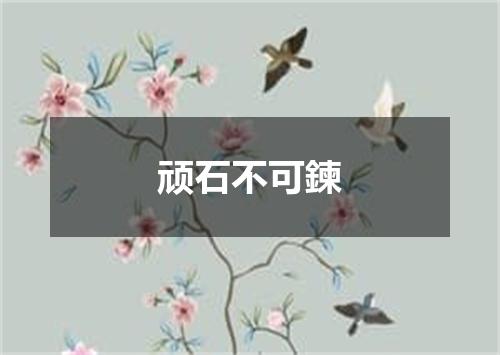 顽石不可鍊