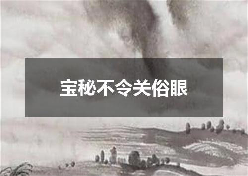 宝秘不令关俗眼