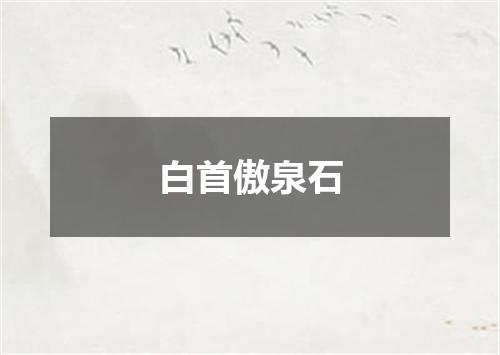 白首傲泉石