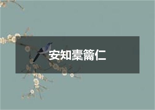 安知橐籥仁