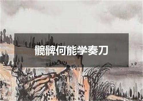 髋髀何能学奏刀