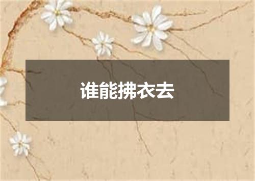 谁能拂衣去