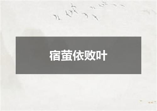 宿萤依败叶