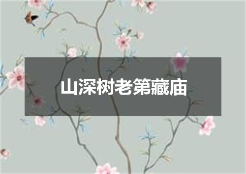 山深树老第藏庙