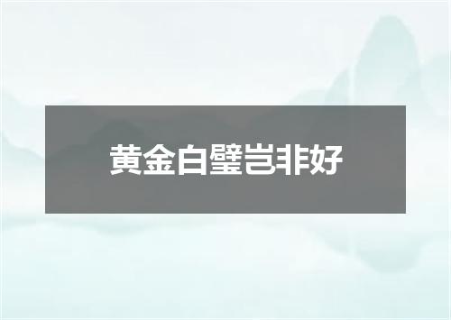 黄金白璧岂非好