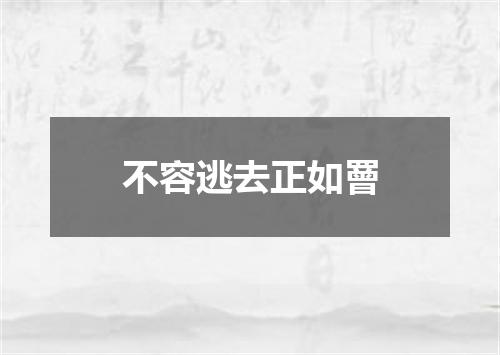 不容逃去正如罾