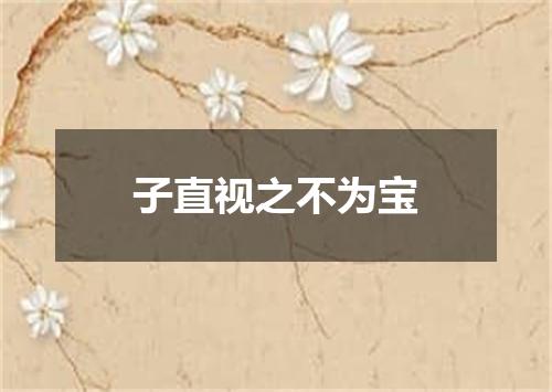 子直视之不为宝