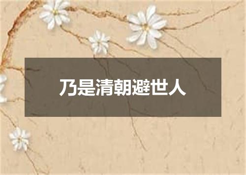 乃是清朝避世人