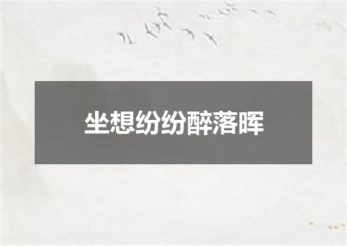 坐想纷纷醉落晖