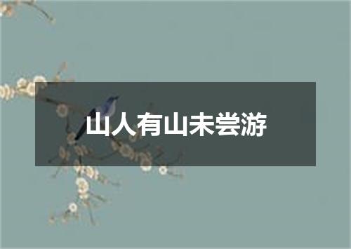 山人有山未尝游