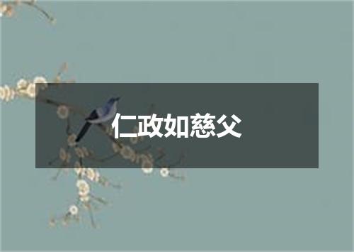 仁政如慈父